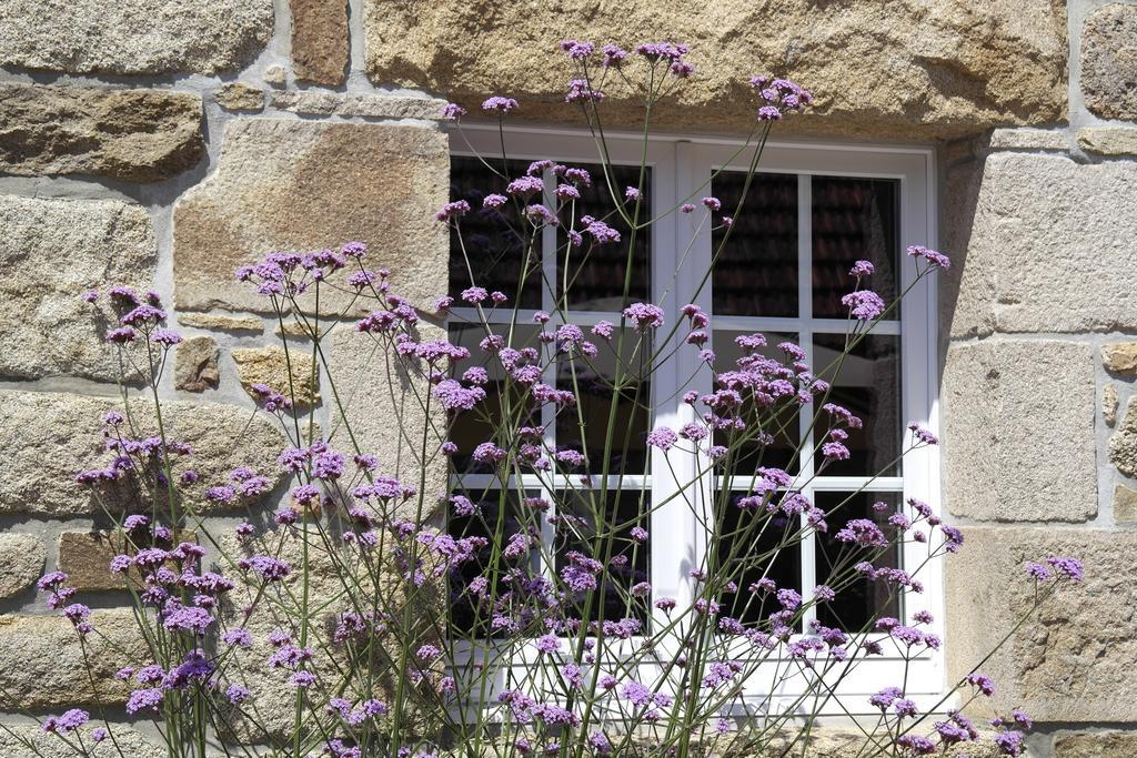 Traou Ar Vilin Perros-Guirec Extérieur photo